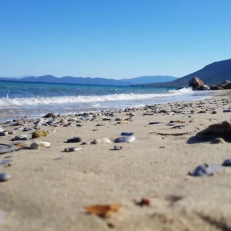 Gougousis * Kaloyiros